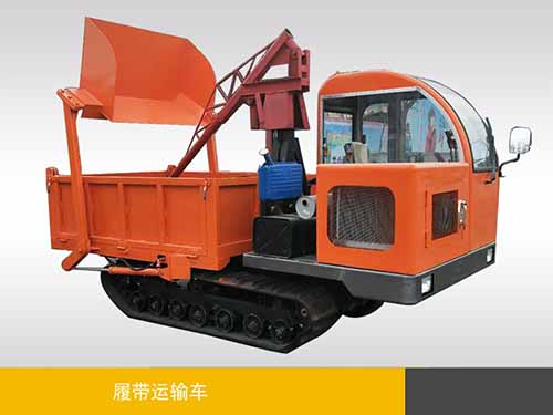 新利体育帶吊機